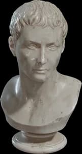 Marble Bust 01