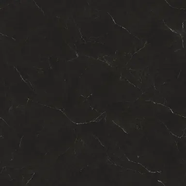 Dark veined stone